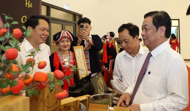 anh Lý Chòi Nhàn - 