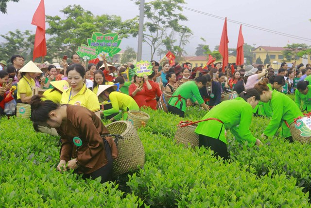 Th&#225;i Nguy&#234;n: N&#226;ng cao gi&#225; trị c&#226;y ch&#232; v&#224; sản phẩm tr&#224; gắn liền với ph&#225;t triển du lịch tr&#234;n địa b&#224;n huyện Đại Từ - Ảnh 1