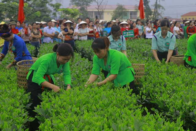 Lễ hội Trà Đại Từ năm Giáp Thìn 2024.