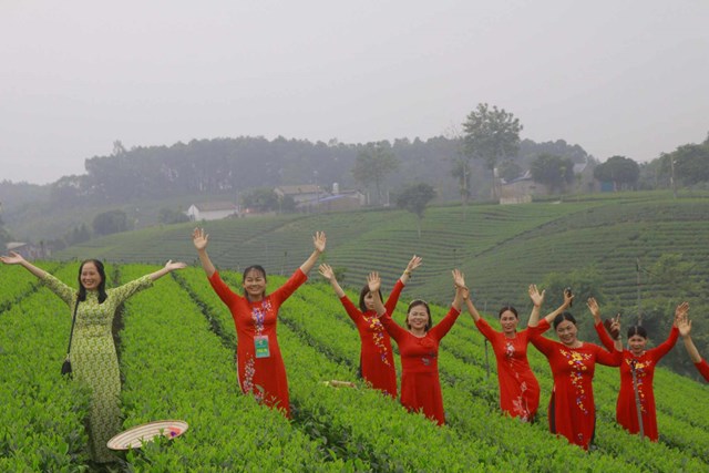 Nâng cao giá trị cây chè và sản phẩm trà gắn liền với phát triển du lịch trên địa bàn huyện Đại Từ.