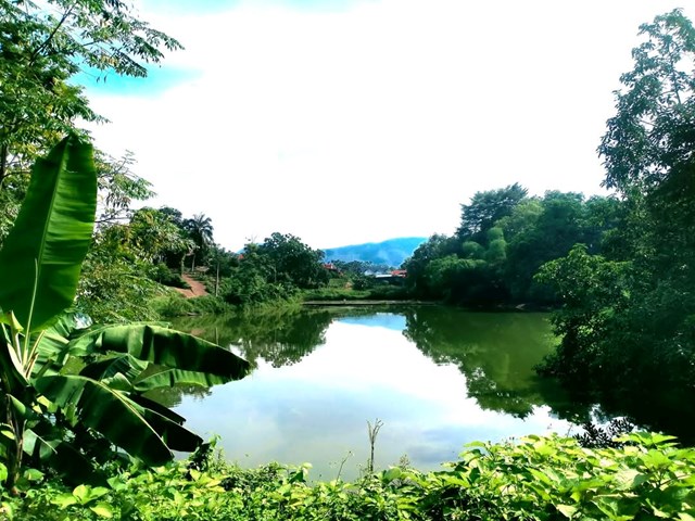 Hệ thống hồ điều hòa đảm bảo vệ sinh sạch đẹp, an toàn.