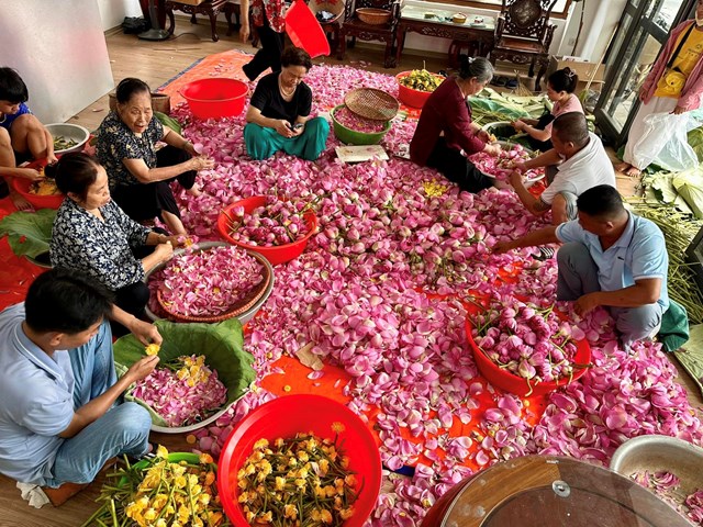 Mọi công đoạn ướp trà sen Hồ Tây được làm thủ công, do vậy, để có được những bông trà đượm hương sen mà vẫn giữ vị trà thuần khiết đòi hỏi sự kỳ công, tinh tế.