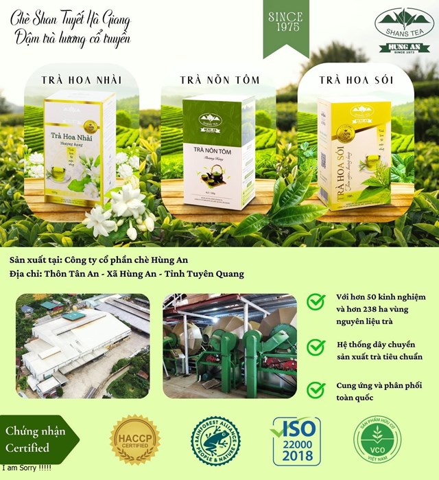 D&acirc;y chuyền chế biến v&agrave; đ&oacute;ng g&oacute;i sản phẩm ch&egrave; tại nh&agrave; m&aacute;y.