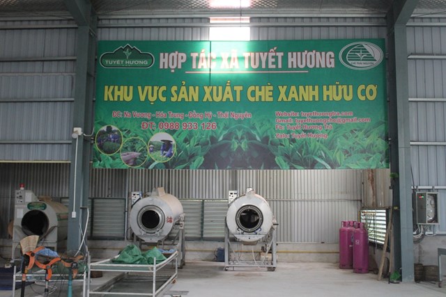 Hợp t&#225;c x&#227; Tuyết Hương - Sản xuất ch&#232; theo quy tr&#236;nh VietGAP hướng đến ph&#225;t triển bền vững - Ảnh 1