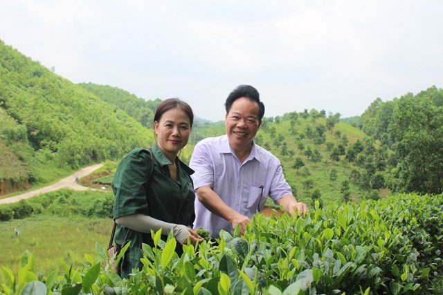 &Ocirc;ng Nguyễn Quốc H&ugrave;ng - Tổng bi&ecirc;n tập Tạp ch&iacute; Kinh tế v&agrave; Đồ uống, đến thăm v&ugrave;ng nguy&ecirc;n liệu sản xuất v&agrave; chế biến ch&egrave; tại Hợp t&aacute;c x&atilde; Tuyết Hương.