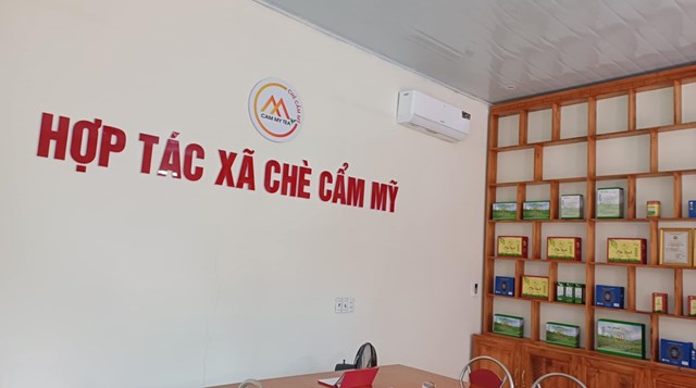 Mô hình sản xuất chè hữu cơ của Hợp tác xã Cẩm Mỹ là một trong những cách làm điển hình về phát triển kinh tế, đem lại công ăn việc làm cho người dân trên địa bàn huyện miền núi Thanh Sơn của tỉnh Phú Thọ. Ảnh: Sơn Thủy.