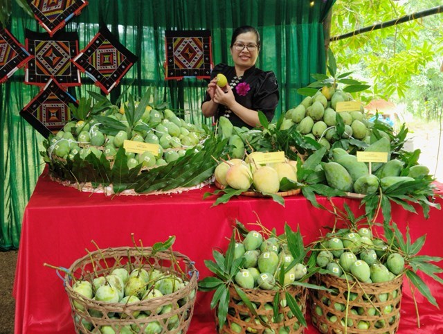 Sản phẩm xoài tròn nổi tiếng của địa phương 