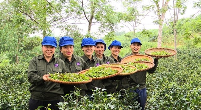 Dự án khởi nghiệp của chị Hồng Phương tạo việc làm, thu nhập ổn định cho 25 phụ nữ tại địa phương, giúp nâng cao vị thế cho chị em.
