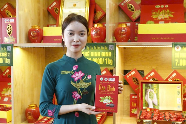 Sản phẩm ch&egrave;&nbsp;Đinh của HTX ch&egrave; Hảo Đạt đạt OCOP 5 sao.