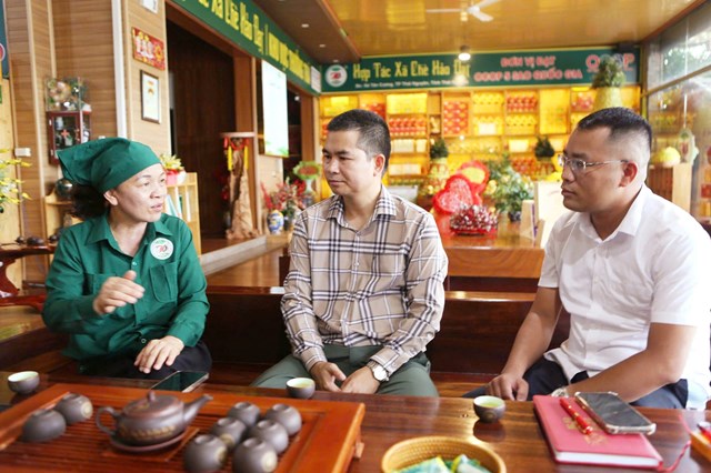 B&agrave; Đ&agrave;o Thanh Hảo &ndash; Gi&aacute;m đốc HTX Ch&egrave; Hảo Đạt trao đổi với ph&oacute;ng vi&ecirc;n.
