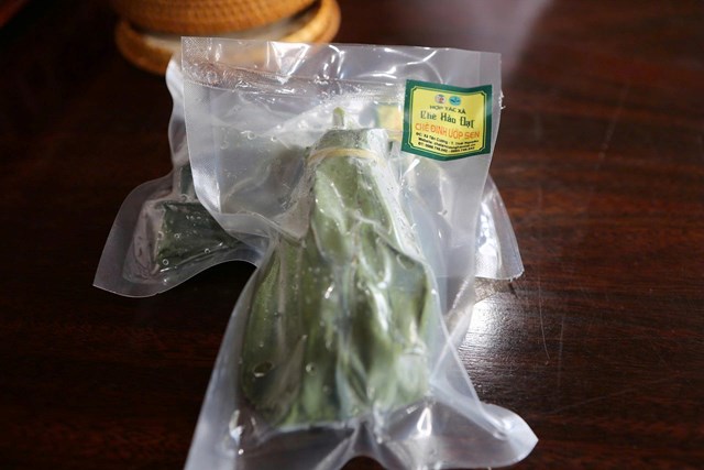 Hợp tác xã Hảo Đạt - Hành trình đưa hương trà Tân Cương vươn xa - Ảnh 1