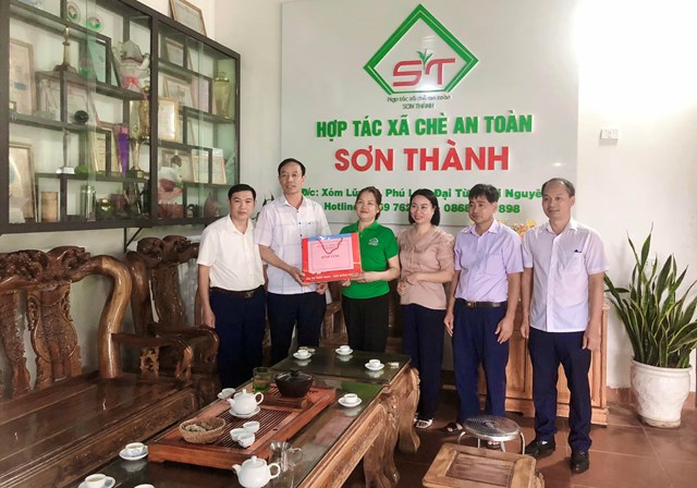 Th&#225;i Nguy&#234;n: Hợp t&#225;c x&#227; Sơn Th&#224;nh x&#226;y dựng thương hiệu từ sản xuất ch&#232; an to&#224;n - Ảnh 2