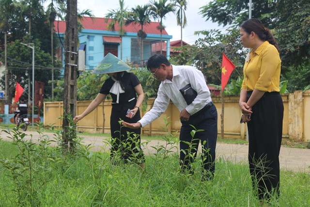 Chủ tịch Hiệp hội Ch&egrave; Việt Nam Ho&agrave;ng Vĩnh Long hướng dẫn một số kỹ thuật trồng v&agrave; chăm s&oacute;c c&acirc;y ch&egrave; tới Ban l&atilde;nh đạo&nbsp; C&ocirc;ng ty TNHH MTV 2-9 H&ograve;a B&igrave;nh.