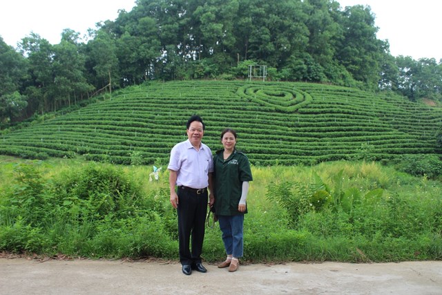 Đến v&#249;ng &quot;Hợp t&#225;c x&#227; Tuyết Hương&quot; ngắm đồi ch&#232; xanh mướt, thơ mộng ở Th&#225;i Nguy&#234;n - Ảnh 2