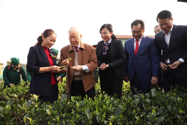 Tổng Bí thư Nguyễn Phú Trọng thăm, động viên hoạt động sản xuất tại Hợp tác xã Chè Hảo Đạt (ngày 10/1/202