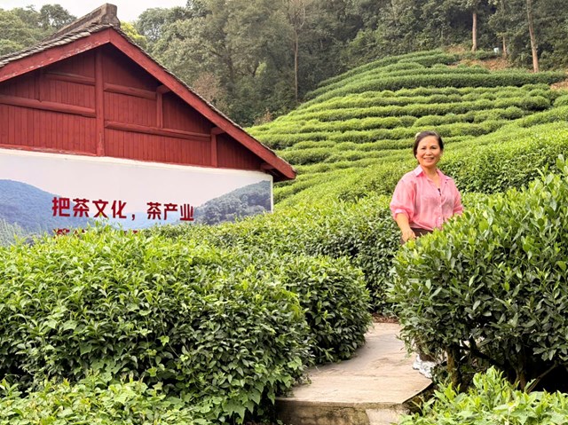 Đi vào một miền ký ức của " Tây Hồ Long Tỉnh " - Ảnh 7