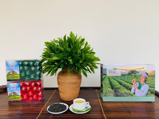 Những sản phẩm tr&agrave; của C&ocirc;ng ty TNHH MTV 2-9 H&ograve;a B&igrave;nh sẽ lu&ocirc;n l&agrave; sự lựa chọn của người ti&ecirc;u d&ugrave;ng v&igrave; chất lượng cao.