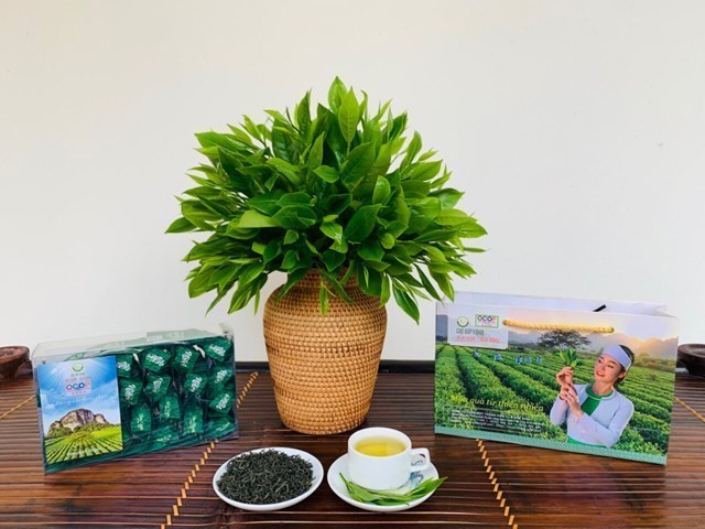 Bà Đào Thị Thanh Thảo: Giữ lửa cho thương hiệu chè búp xanh Yên Thủy - Hòa Bình - Ảnh 6