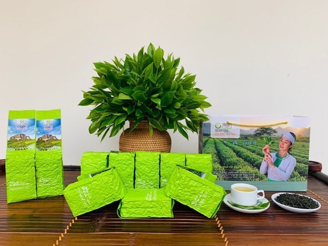 Bà Đào Thị Thanh Thảo: Giữ lửa cho thương hiệu chè búp xanh Yên Thủy - Hòa Bình - Ảnh 4