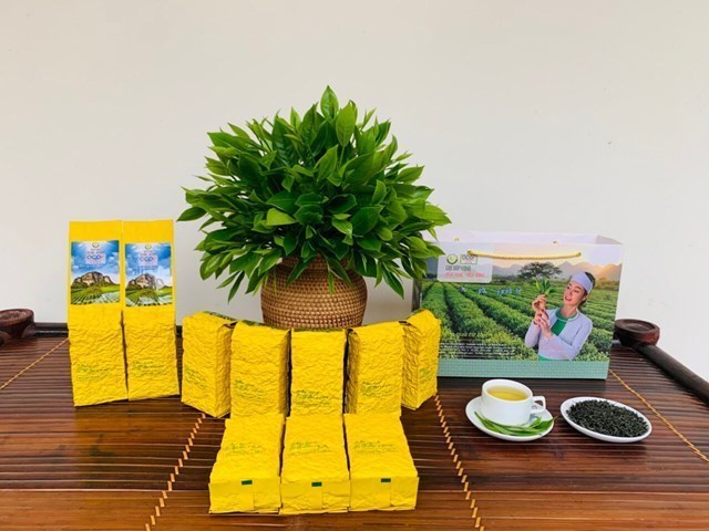 Bà Đào Thị Thanh Thảo: Giữ lửa cho thương hiệu chè búp xanh Yên Thủy - Hòa Bình - Ảnh 5