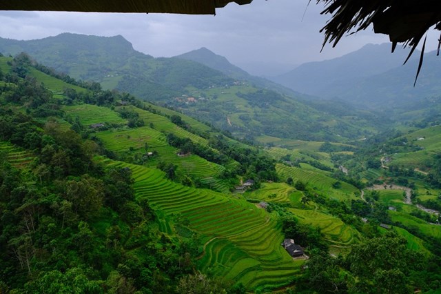 Người dân nơi đây đã biến những ngọn đồi khô cằn thành mảnh đất trù phú