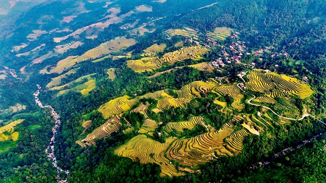 Thôn Nà Thác, Khuổi My, Lùng Vài có khoảng 90ha ruộng bậc thang. Những thửa ruộng bậc thang ở đây được tạo ra bởi công sức canh tác của đồng người Dao áo dài nơi đây.