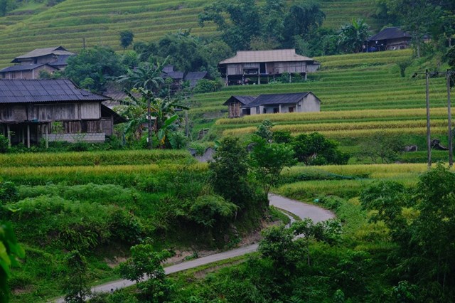 Ruộng bậc thang tập trung tại các xã: Bản Phùng, Nậm Khòa, Bản Nhùng, Bản Luốc, của những người dân thuộc dân tộc: Dao, Mông, La Chí, Pu Péo., Phù Lá, Tày, Nùng...