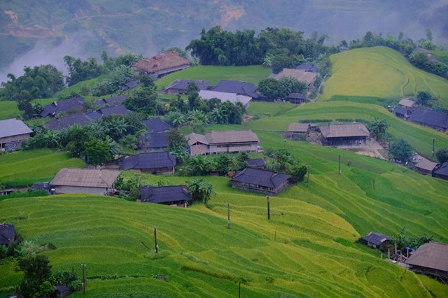 Những thửa ruộng bậc thang trồng lúa trải dài, nằm xen với những ngôi nhà nhỏ của các hộ dân nơi đây.