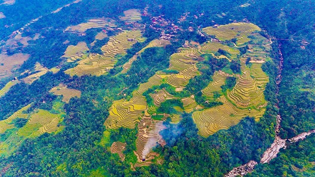 Sắc v&#224;ng thi&#234;n đường ruộng bậc thang giữa l&#242;ng T&#226;y Bắc - Ảnh 4