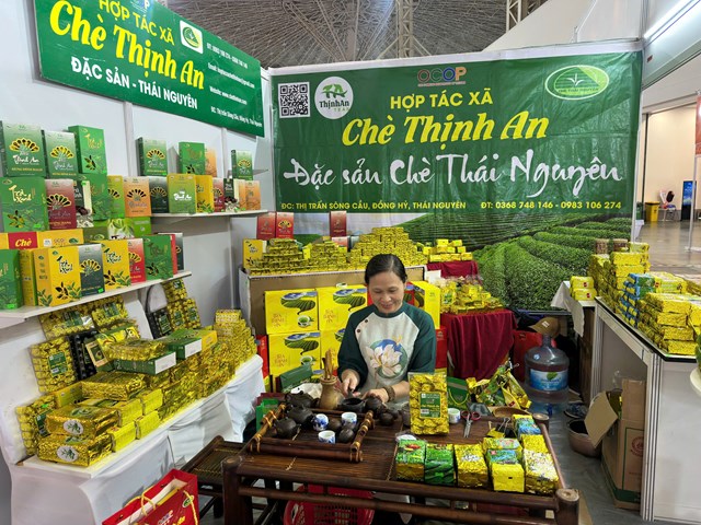 Nghệ nhân Vũ Thị Thương Huyền – Giám đốc HTX Chè Thịnh An. Ảnh: Lưu 