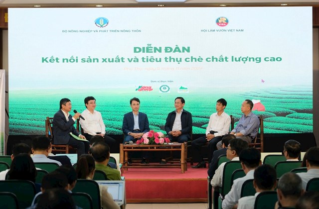 Diễn đàn “Kết nối sản xuất và tiêu thụ chè chất lượng cao” được tổ chức tại Phú Thọ - một trong những địa phương sản xuất chè trọng điểm của cả nước.