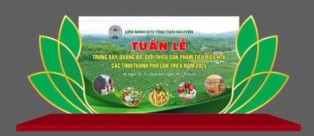 Tuần lễ trưng bày, quảng bá, giới thiệu sản phẩm tiêu biểu HTX các tỉnh, thành phố lần thứ 6 diễn ra từ ngày 20/11 đến 24/11/2024 tại thành phố Thái Nguyên.