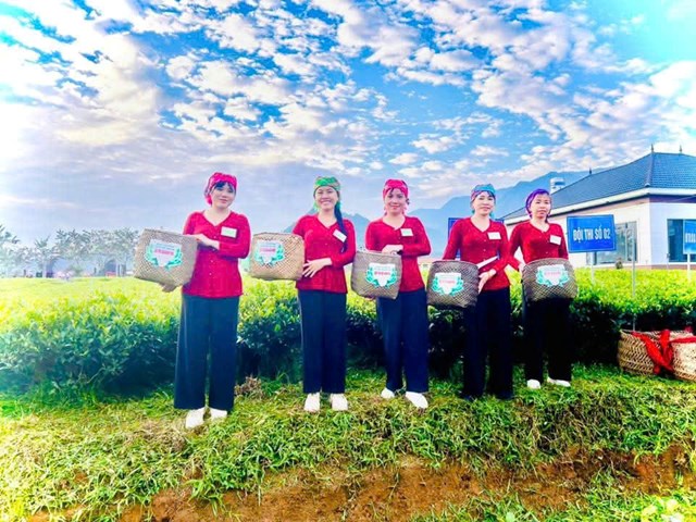 Thái Nguyên sôi động Hội thi “Bàn tay vàng chế biến chè” và không gian “Thưởng trà cùng người nổi tiếng” - Ảnh 1