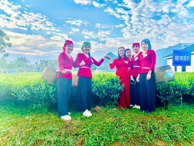 Thái Nguyên sôi động Hội thi “Bàn tay vàng chế biến chè” và không gian “Thưởng trà cùng người nổi tiếng” - Ảnh 2