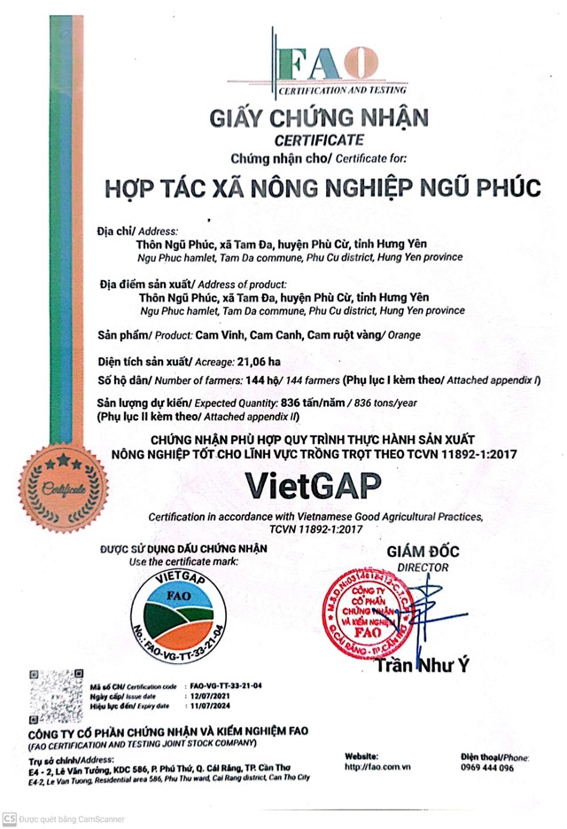 chứng nhận VietGAP của HTX Nông nghiệp Ngũ Phúc. Ảnh: Nguyễn Thêu.