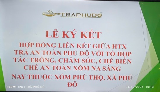 Lễ ký kết hợp đồng liên kết trong sản xuất chè giữa HTX trà an toàn Phú Đô và tổ hợp tác trồng, chăm sóc, chế biến chè an toàn xóm Na Sàng, nay thuộc xóm Phú Thọ, xã Phú Đô, huyện Phú Lương, (Thái Nguyên).