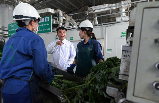 Nh&agrave; m&aacute;y TraphacoSapa được x&acirc;y dựng theo ti&ecirc;u chuẩn GMP-WHO, trang bị d&acirc;y chuyền chiết xuất hiện đại, bảo to&agrave;n tối đa c&aacute;c hoạt chất qu&yacute; từ l&aacute; Actiso.