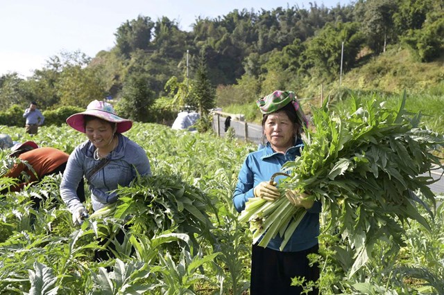 Điều đặc biệt ở TraphacoSapa l&agrave; mỗi sản phẩm ngo&agrave;i việc mang lại lợi &iacute;ch sức khỏe c&ograve;n l&agrave; c&ocirc;ng cụ th&uacute;c đẩy kinh tế n&ocirc;ng th&ocirc;n bền vững