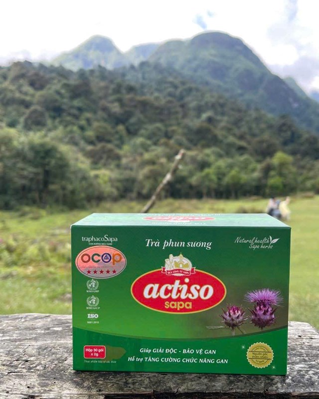 Sản phẩm tr&agrave; phun sương Actiso của thương hiệu TraphacoSapa