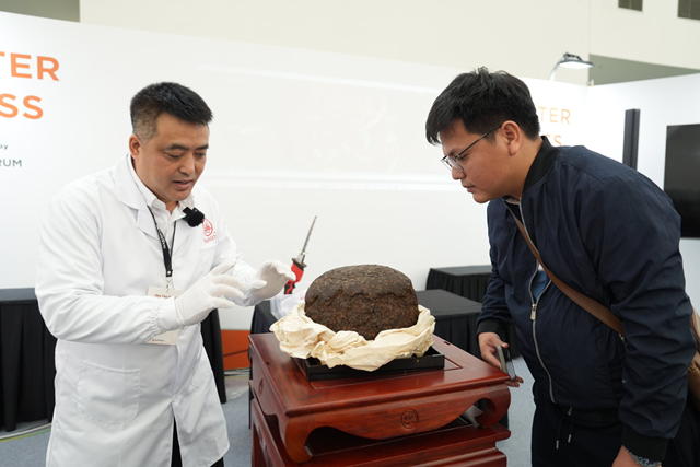 Thạch Cổ Tr&#224;: Di sản ủ c&#249;ng thời gian  - Ảnh 2