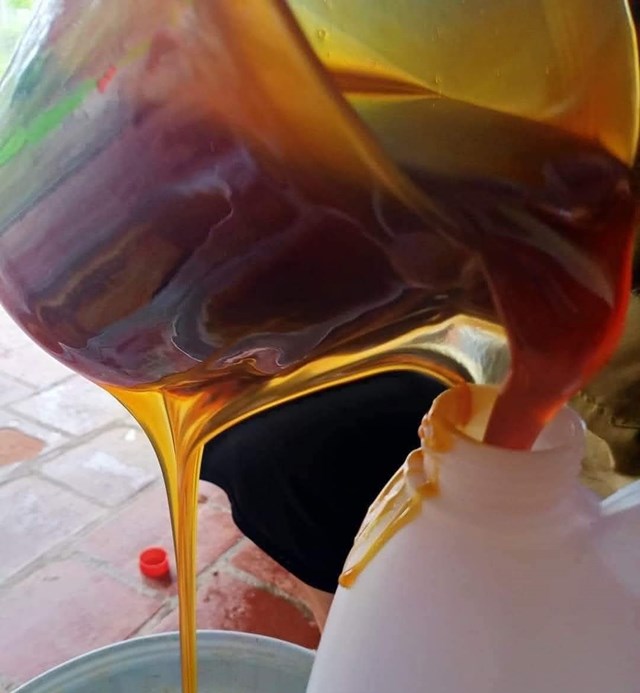 Mật m&iacute;a ở đ&acirc;y vừa c&oacute; m&agrave;u v&agrave;ng &oacute;ng, lại đặc s&aacute;nh rất hấp dẫn