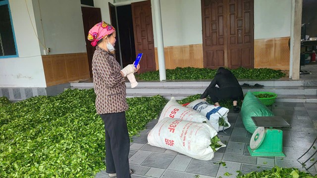 To&agrave;n bộ nh&acirc;n lực trong nh&agrave; đều được huy động để kịp sản xuất