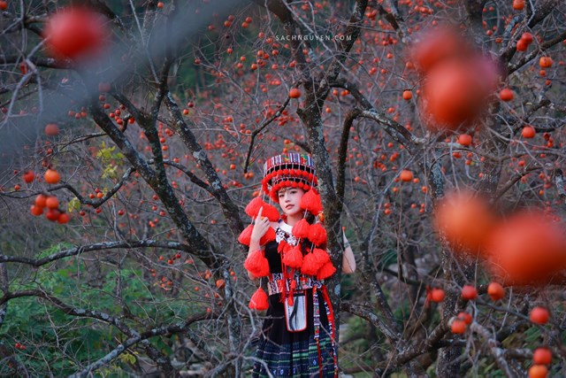 Du kh&aacute;ch sẽ được thu&ecirc; nhiều loại trang phục, phụ kiện v&agrave; dịch vụ chụp ảnh để lưu lại những khoảng khắc đ&aacute;ng nhớ tại vườn hồng cổ thụ