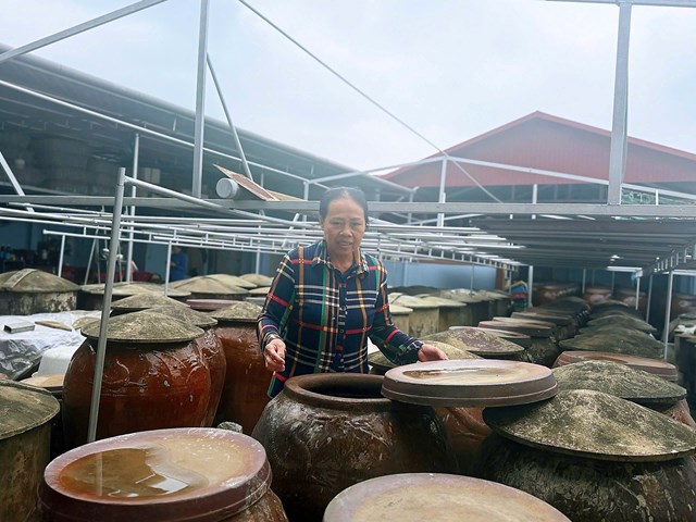Tại cơ sở sản xuất nước mắm Hồ Thị Thu (th&ocirc;n Hải Bắc, x&atilde; Thi&ecirc;n Cầm), lại ủ nước mắm theo phương thức truyền thống từ thời cha &ocirc;ng để lại