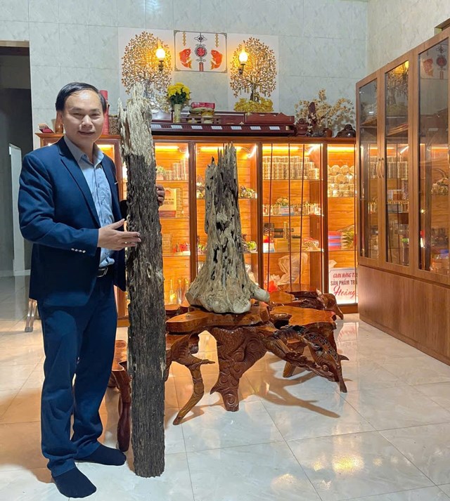 C&acirc;y trầm tốc b&ocirc;ng được trả gi&aacute; gần cả tỷ đồng nhưng vẫn chưa b&aacute;n