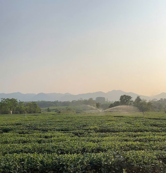 Thời tiết H&agrave; Tĩnh nắng n&oacute;ng c&oacute; h&ocirc;m l&ecirc;n đến 40- 42 độ C