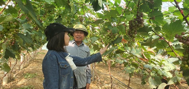 H&agrave; Tĩnh đang hướng tới ph&aacute;t triển n&ocirc;ng nghiệp xanh gắn với chuyển đổi số