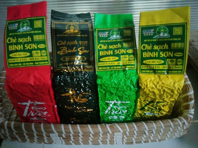 Ch&egrave; sạch B&igrave;nh Sơn hiện đ&atilde; đạt OCOP 4 sao