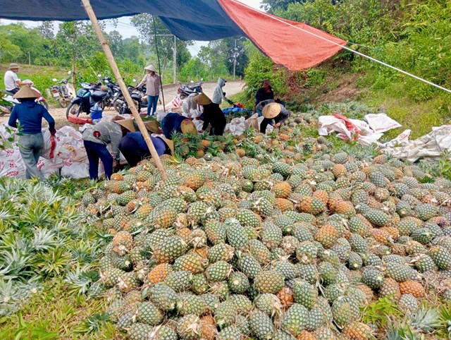 Đầu ra sản phẩm đ&atilde; được đơn vị bao ti&ecirc;u với gi&aacute; ổn định