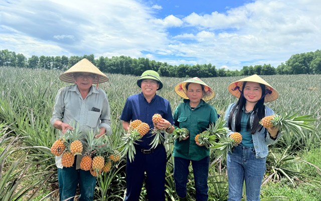 Đ&acirc;y được xem l&agrave; những th&agrave;nh quả bước đầu